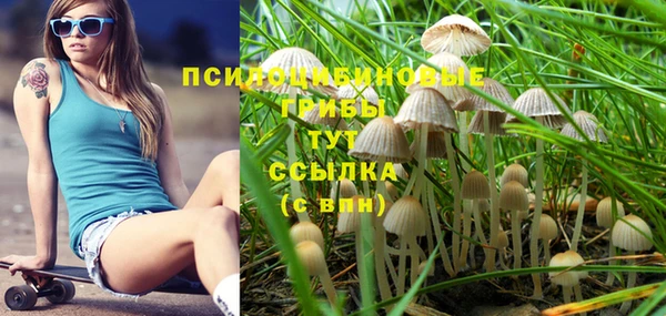 соль курить ск Аркадак