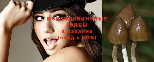 spice Армянск