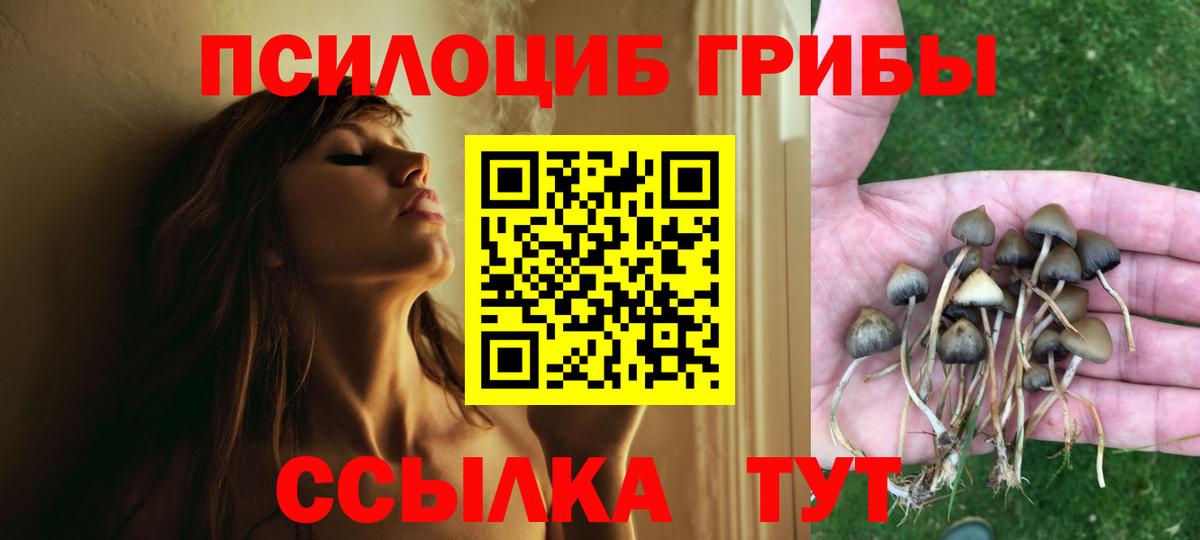 Галлюциногенные грибы Magic Shrooms  Вход с VPN  Псилоцибиновые грибы мухоморы  Шуя 
