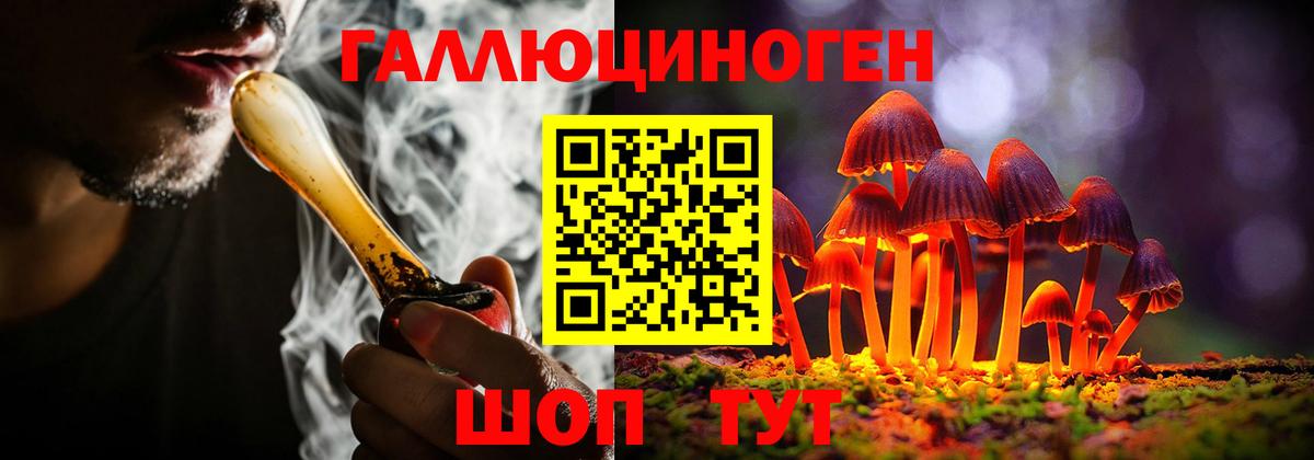 Псилоцибиновые грибы ЛСД Шуя